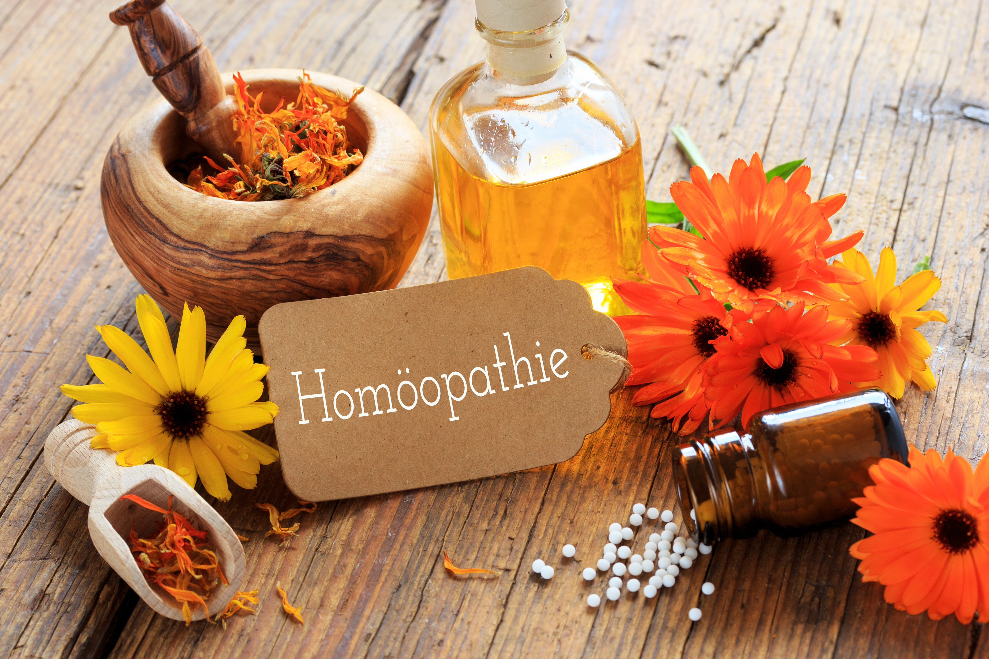 Homöopathie StadtApotheken Dresden